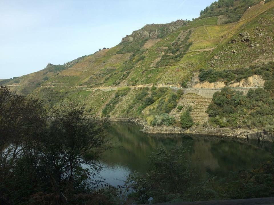 Acogedor Apartamento Ribeira Sacra Monforte De Lemos Exterior foto